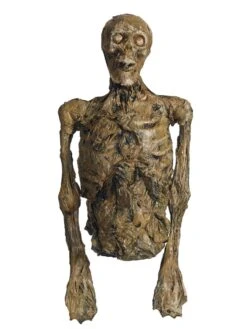 Large Rotting Skeleton Torso Prop