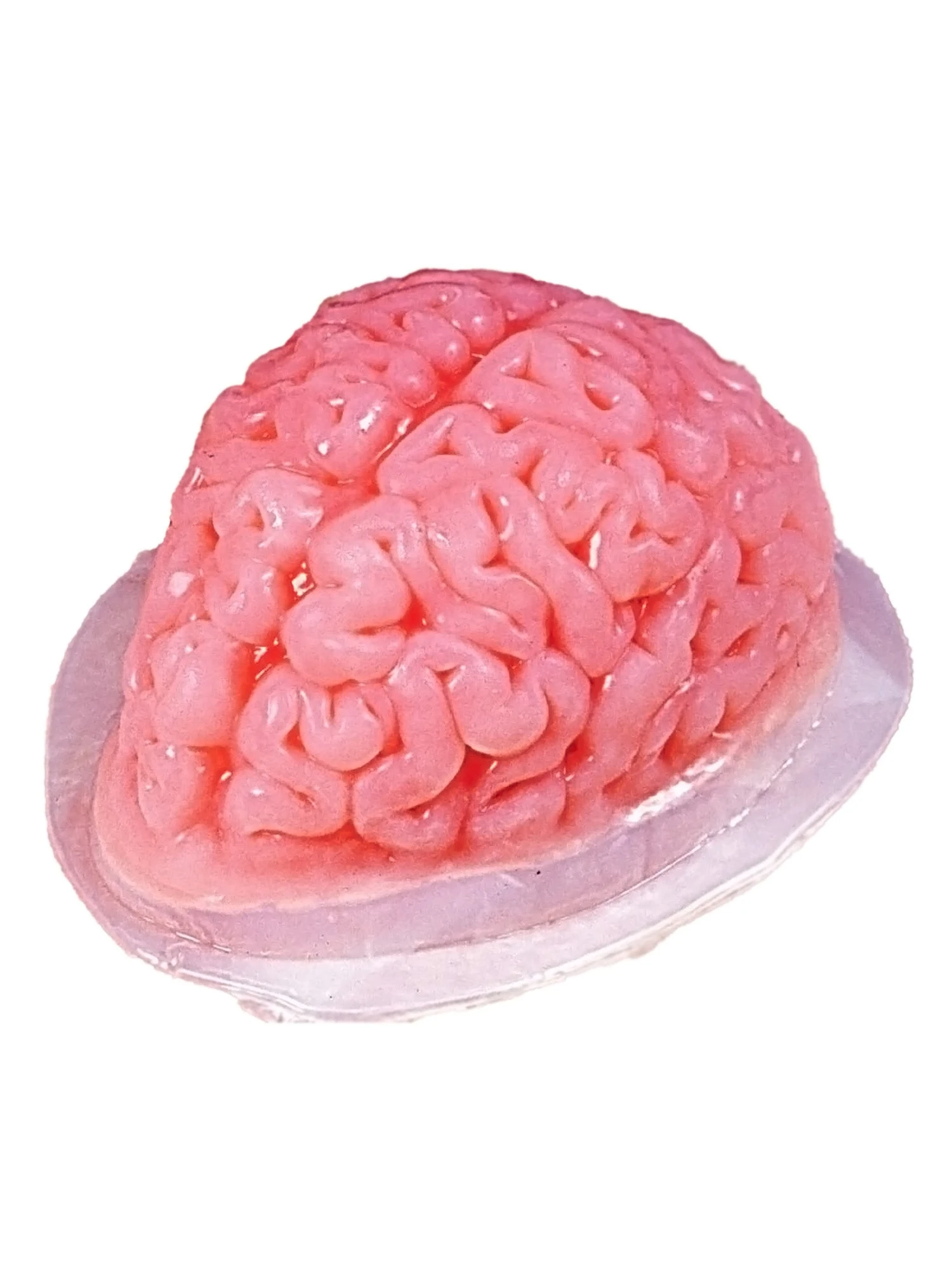 9-inch Brain Shaped Plastic Gelatin Mold 1 9-inch Brain Shaped Plastic Gelatin Mold