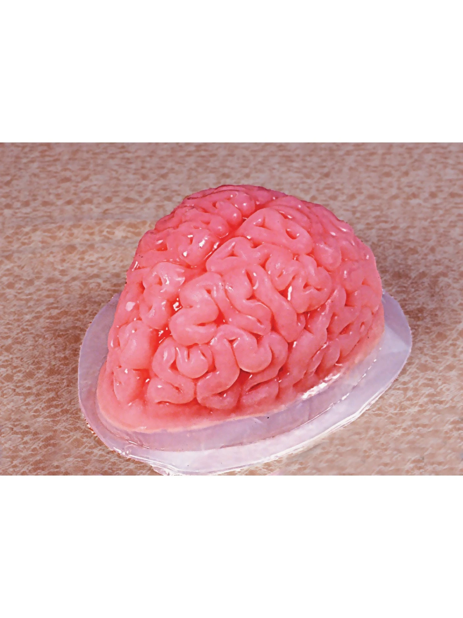 9-inch Brain Shaped Plastic Gelatin Mold 2 9-inch Brain Shaped Plastic Gelatin Mold - Image 2
