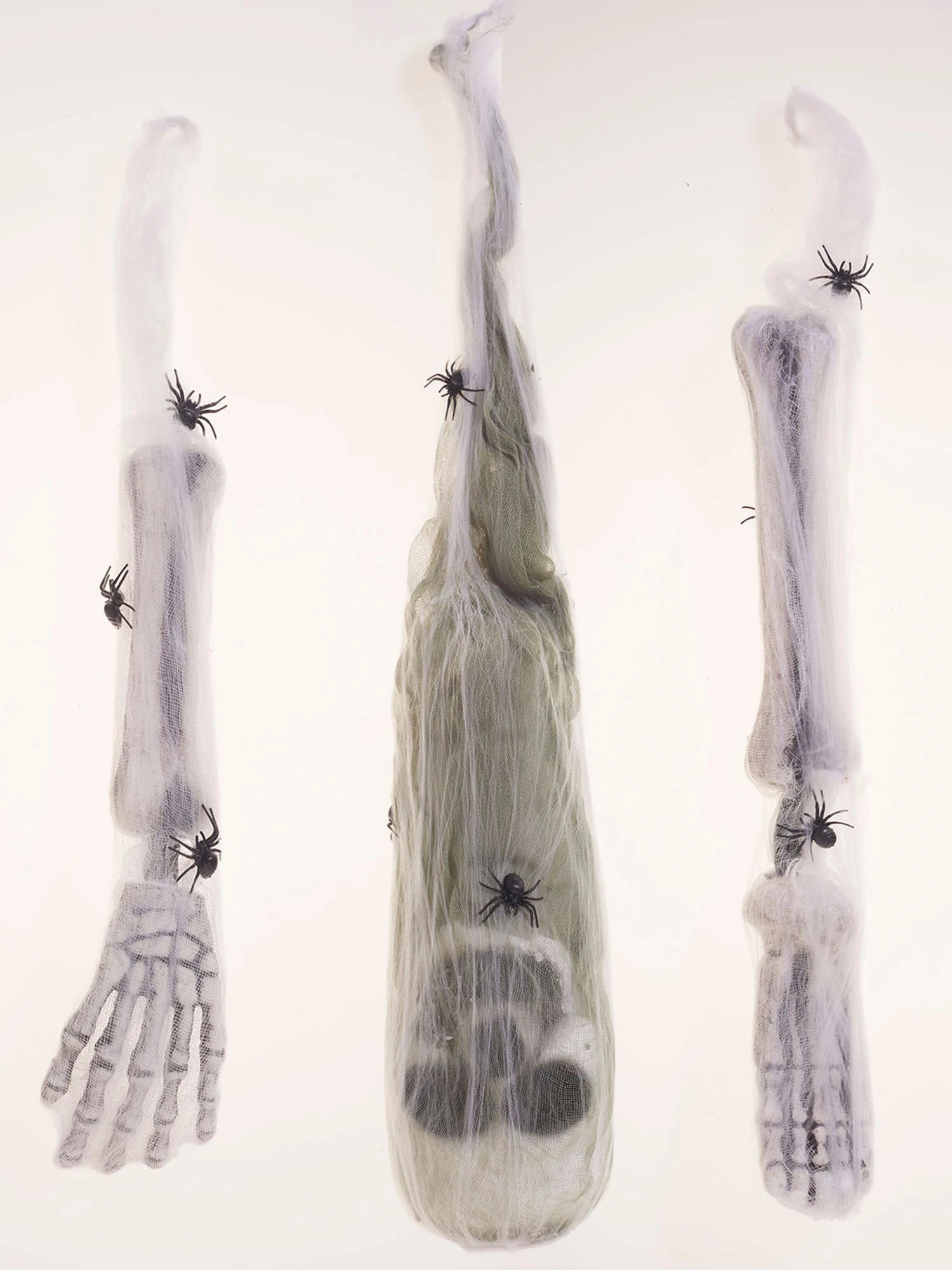 Spider Cocoon Victim 1 Spider Cocoon Victim