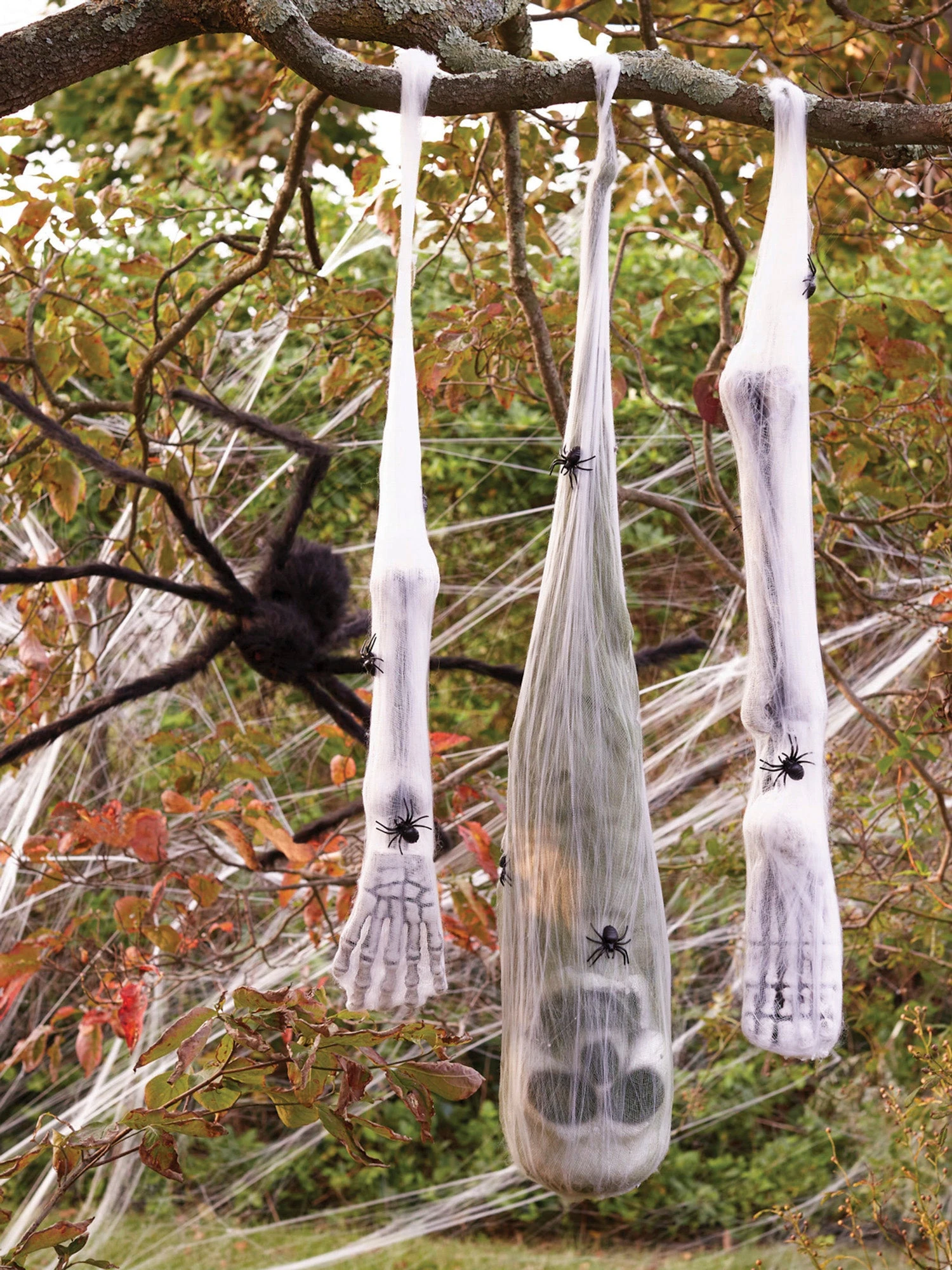 Spider Cocoon Victim 2 Spider Cocoon Victim - Image 2