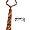 Harry Potter Gryffindor Accessory Set