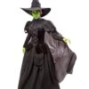 Women's The Wizard Of Oz Wicked Witch Costume - Deluxe