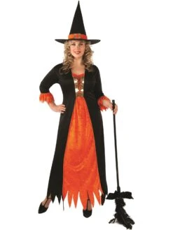 Womens Gothic Witch Costume