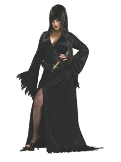 Women's Plus Size Elvira Mistress Of The Dark Costume