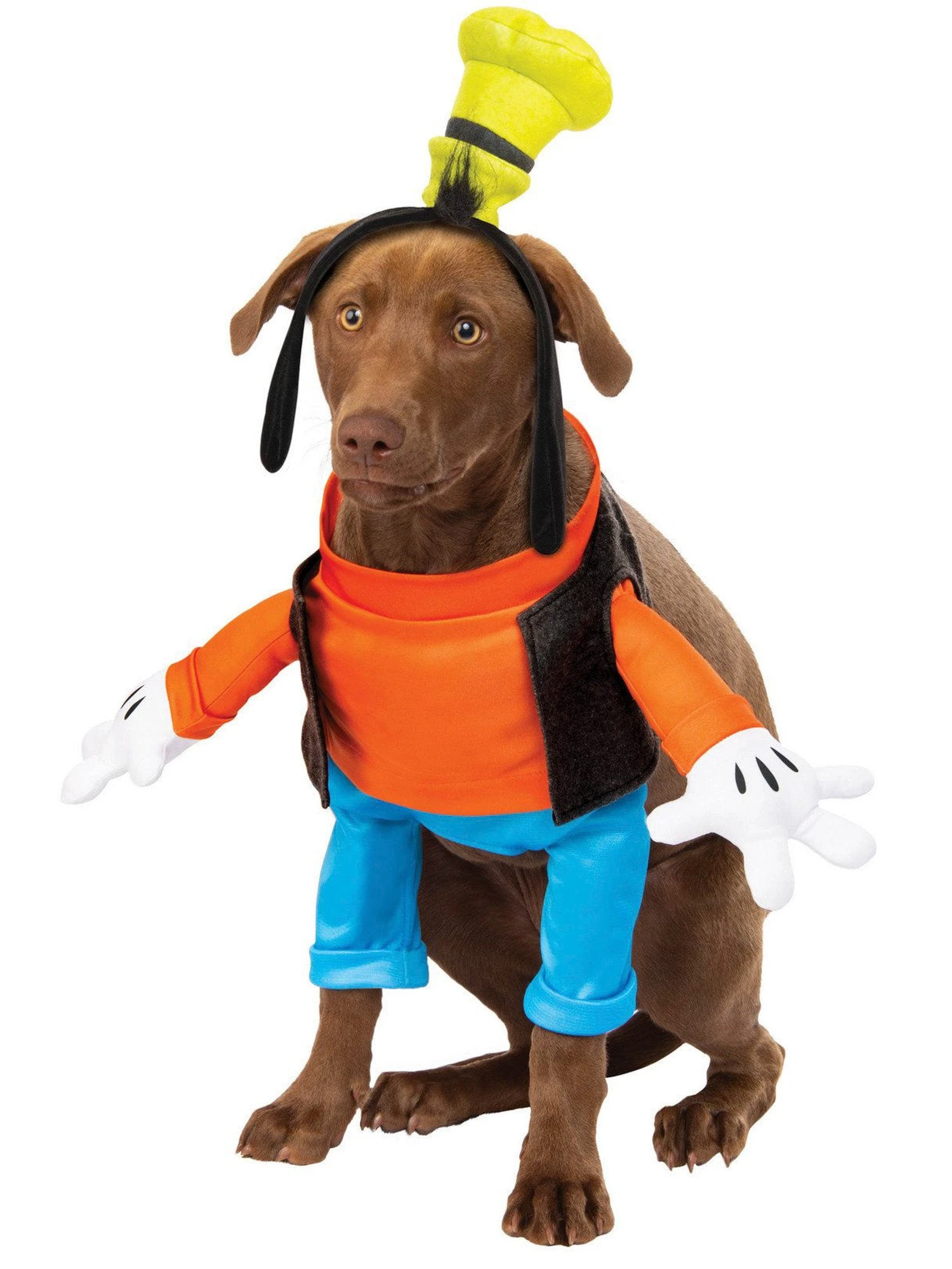 Disney Goofy Walking Pet Costume 1 Disney Goofy Walking Pet Costume