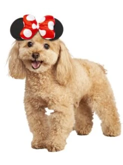 Minnie Mouse Pet Headpiece