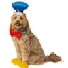 Donald Duck Pet Costume