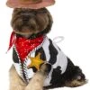 Toy Story Woody Pet Vest, Headpiece And Bandana