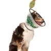 Dirty Puptini Pet Accessory