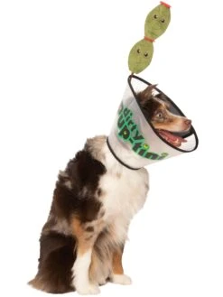Dirty Puptini Pet Accessory