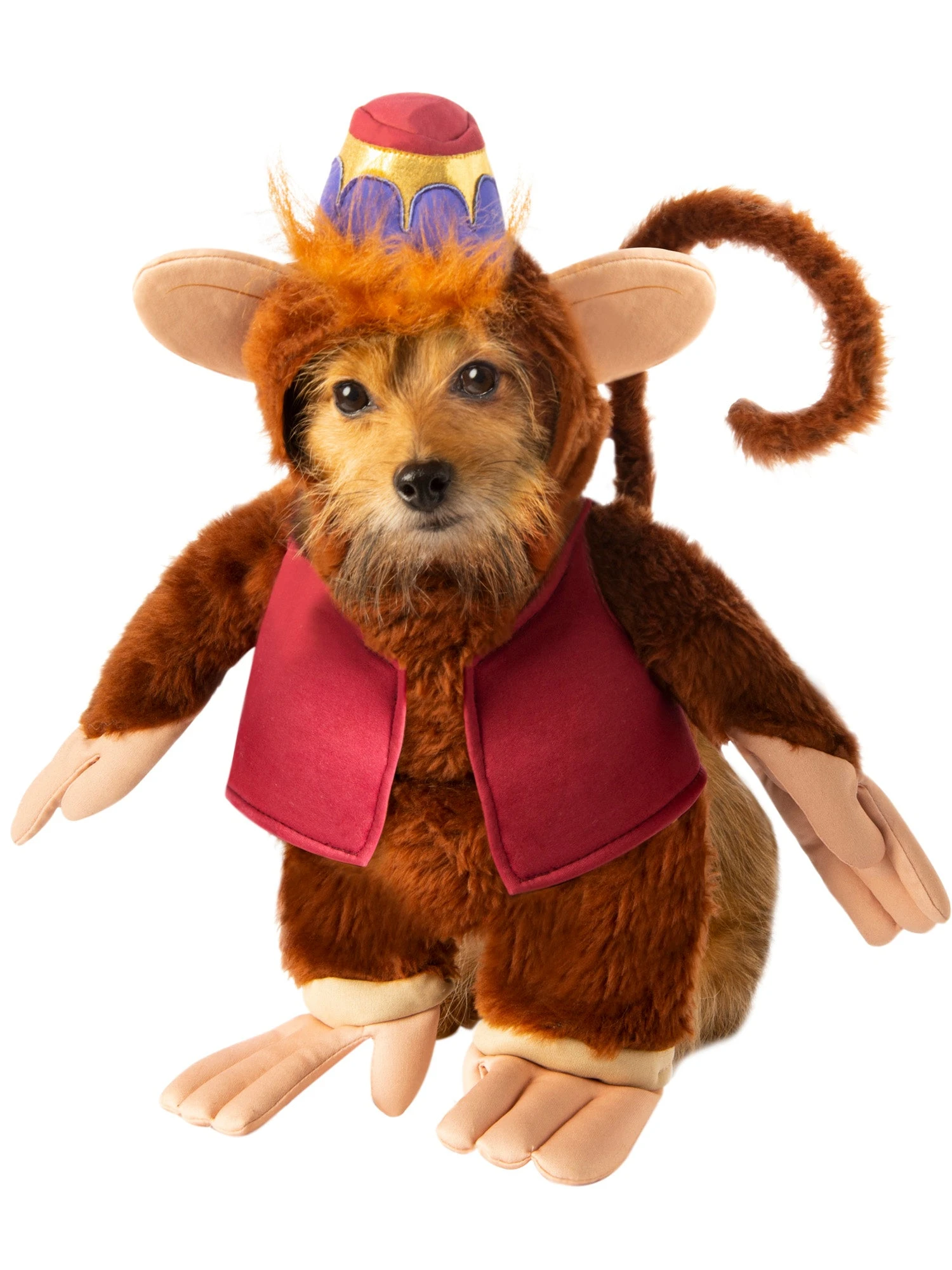 Aladdin Pet Costume 1 Aladdin Pet Costume