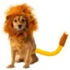 Lion King Simba Pet Headpiece And Tail