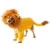 Lion King Simba Pet Costume