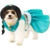 Aladdin Jasmine Pet Costume