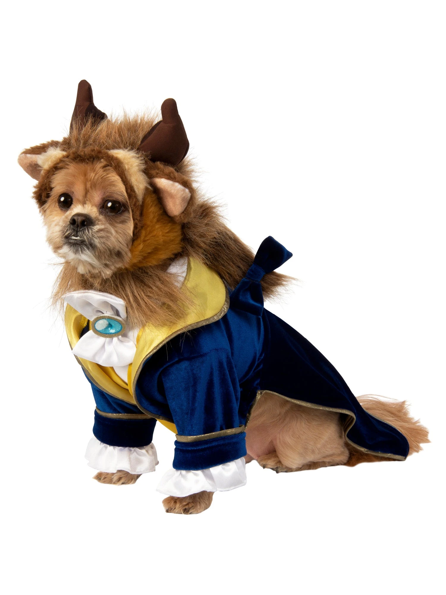 Beauty And The Beast Pet Costume 1 Beauty And The Beast Pet Costume