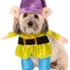 Snow White Dopey Walking Pet Costume