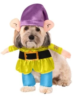 Snow White Dopey Walking Pet Costume