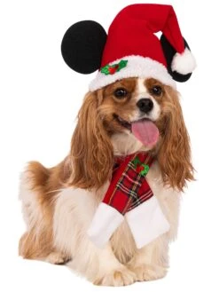 Mickey Mouse Pet Santa Hat And Scarf