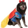 Snow White Big Dog Pet Costume
