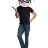 Adult DC Comics Super Villains Harley Quinn Mascot Mask