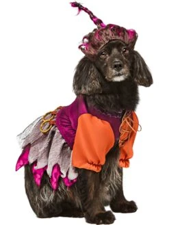 Hocus Pocus Mary Pet Costume