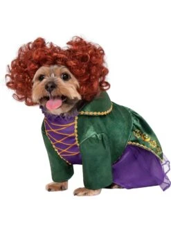 Hocus Pocus Winifred Pet Costume