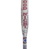 Adult Birds Of Prey Harley Quinn Bat