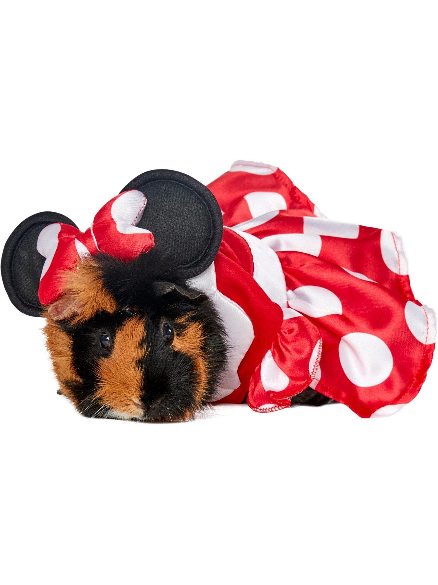 Minnie Mouse Small Pet Costume 1 Minnie Mouse Small Pet Costume