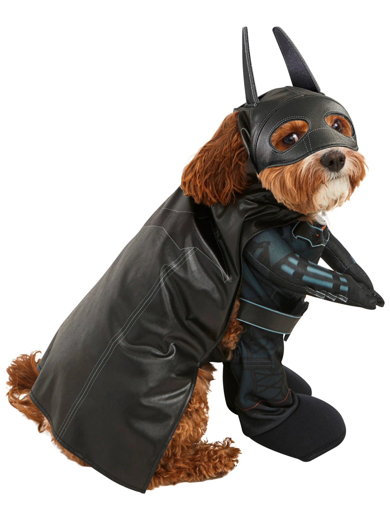 The Batman Pet Costume 1 The Batman Pet Costume