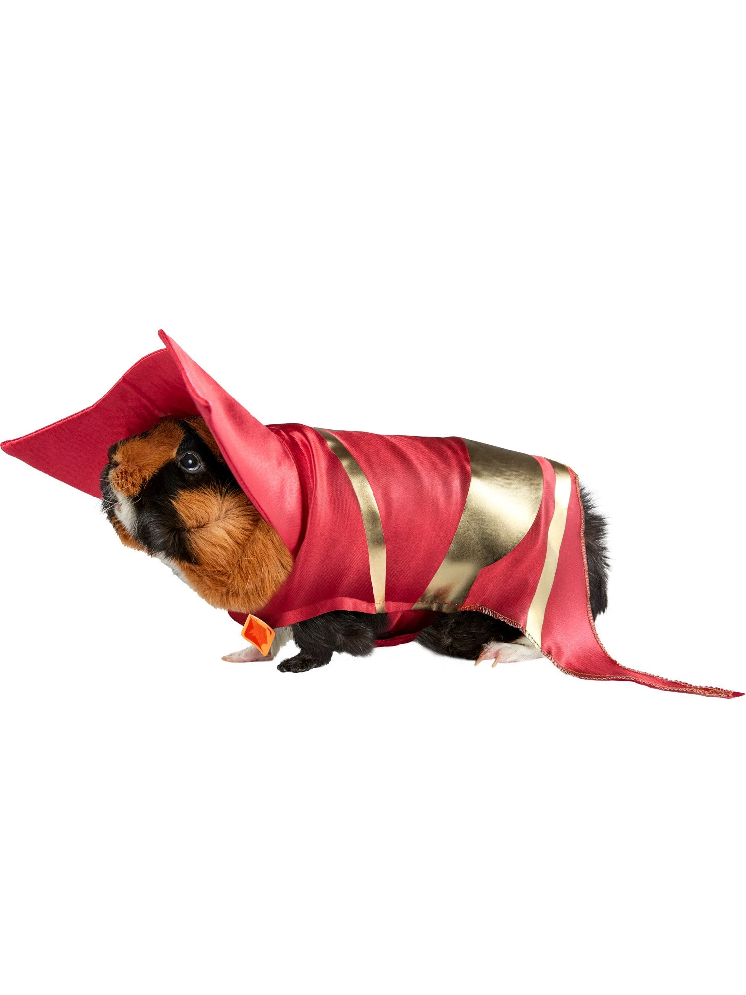 DC League Of Super-Pets Lulu Small Pet Costume 1 DC League Of Super-Pets Lulu Small Pet Costume