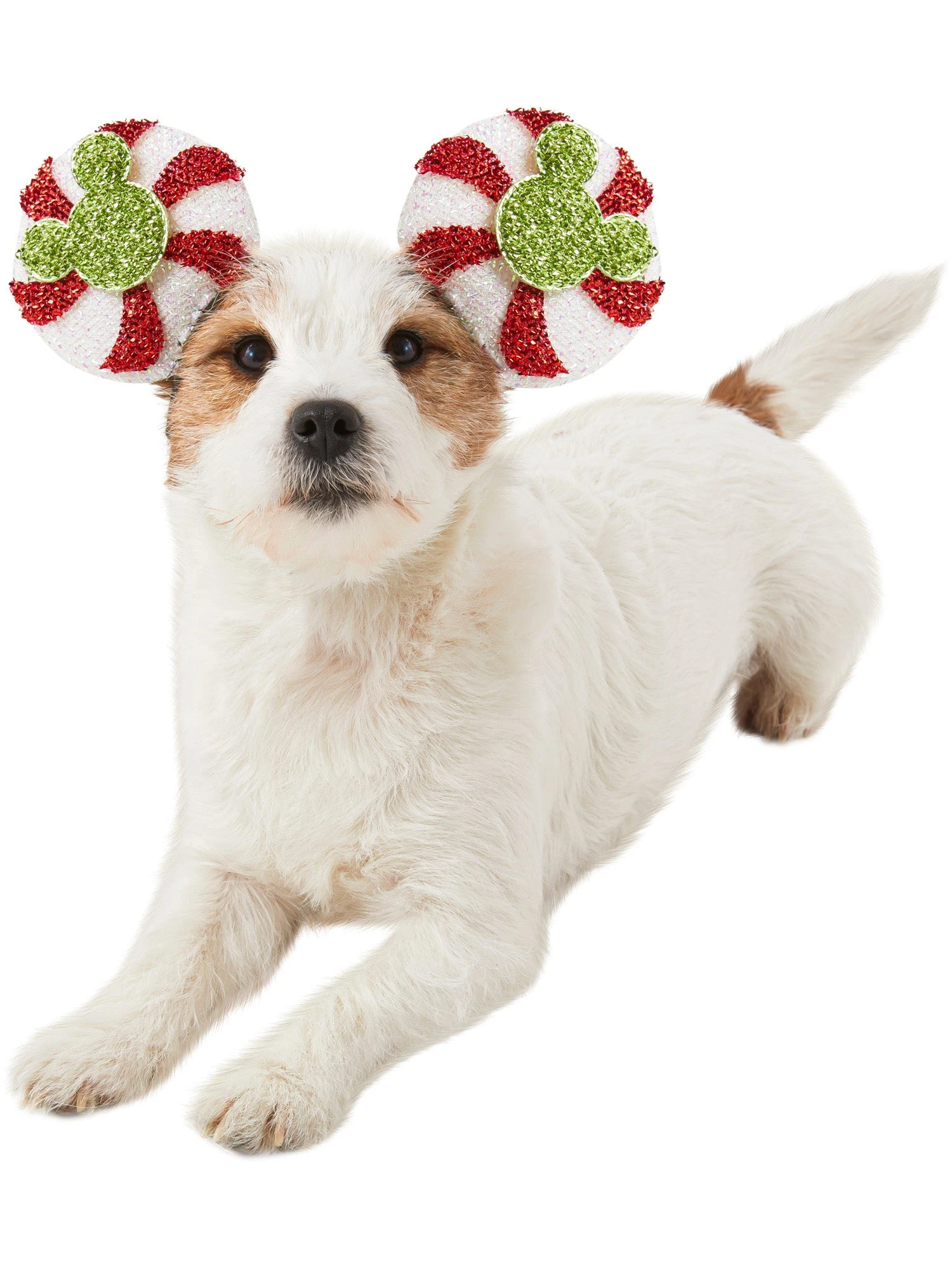 Mickey Mouse Holiday Candy Cane Pet Headpiece 1 Mickey Mouse Holiday Candy Cane Pet Headpiece