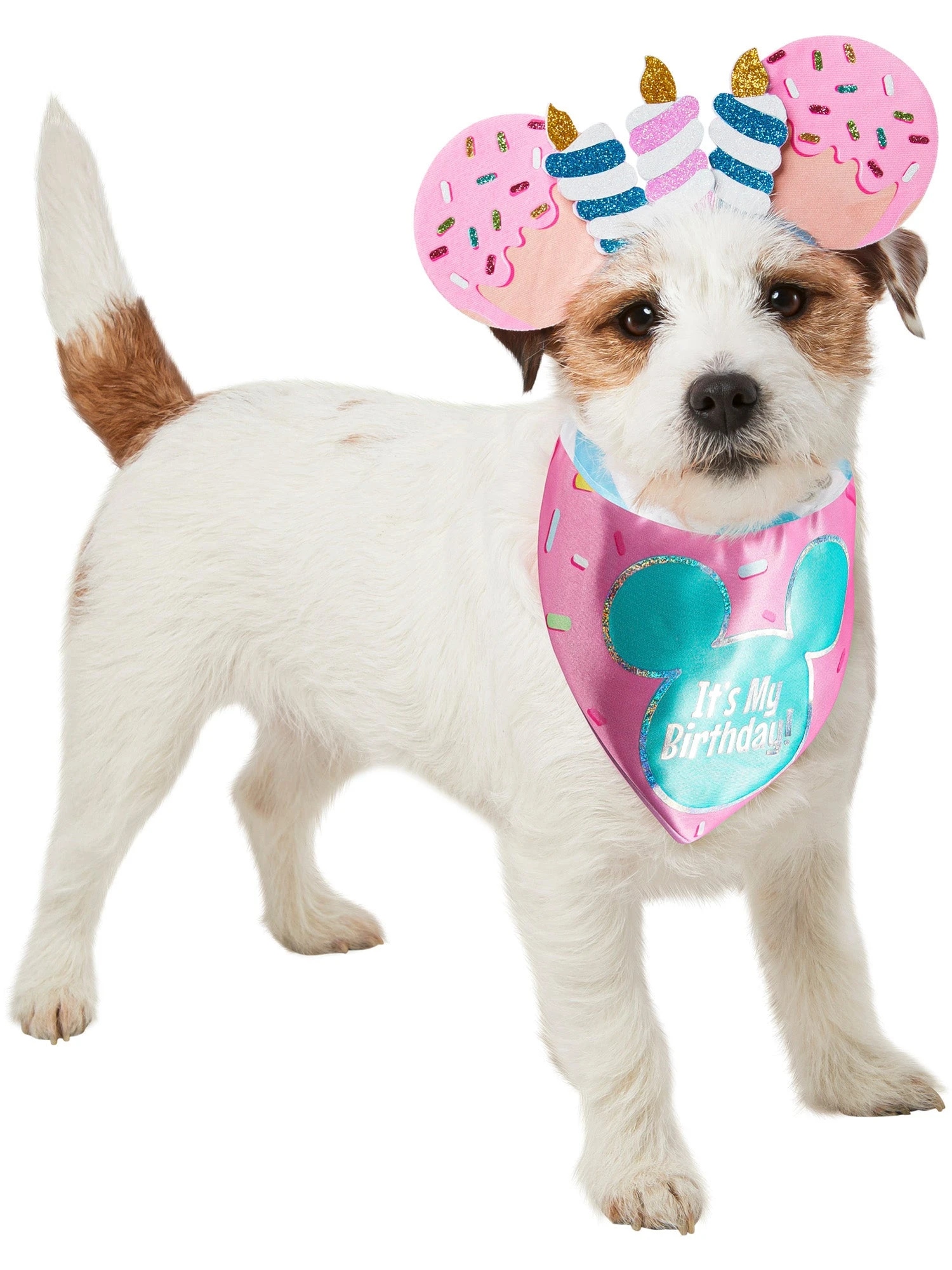 Mickey Mouse Birthday Pet Headpiece And Bandana 1 Mickey Mouse Birthday Pet Headpiece And Bandana