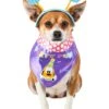 Mickey Mouse Party Pup Pet Headpiece And Bandana