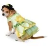 The Princess And The Frog Tiana Pet Costume