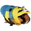 Despicable Me Minion Small Pet Costume