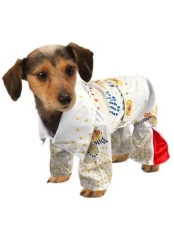 Elvis Presley Pet Costume