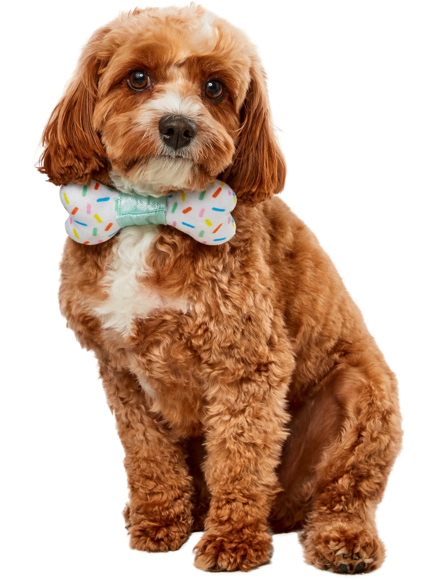 Sprinkles Bone Pet Bowtie 1 Sprinkles Bone Pet Bowtie
