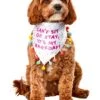 Pet Sprinkled Birthday Bandana Accessory