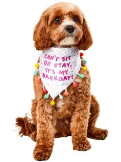 Pet Sprinkled Birthday Bandana Accessory