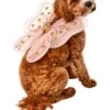 Birthday Bow Pet Fairy Wings