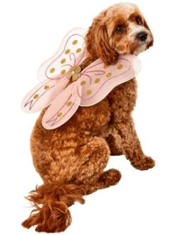 Birthday Bow Pet Fairy Wings