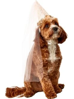 Pet Birthday Fairy Cone Hat Accessory