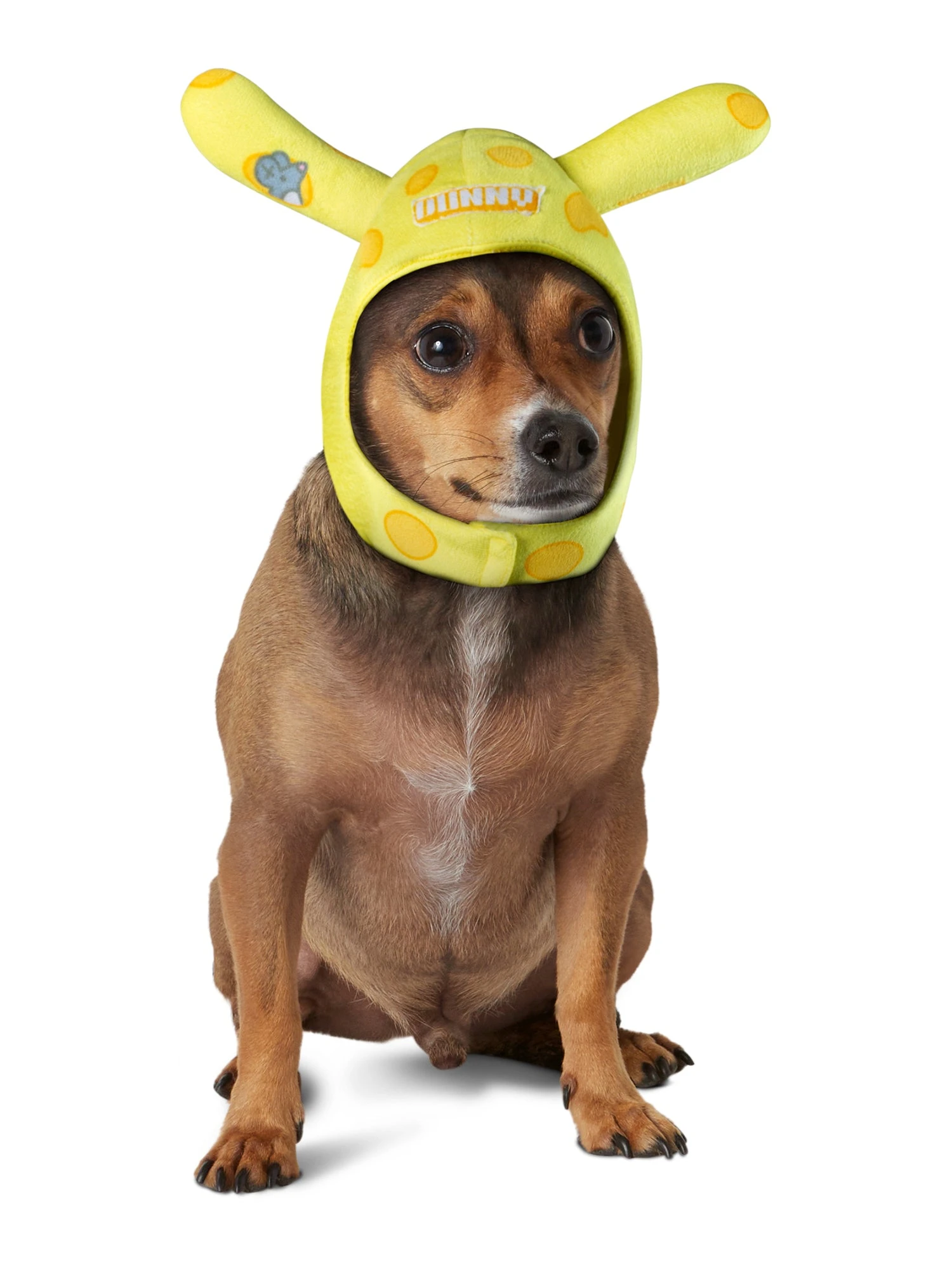 Dunny Cheese Head Pet Headpiece By Kidrobot 1 Dunny Cheese Head Pet Headpiece By Kidrobot