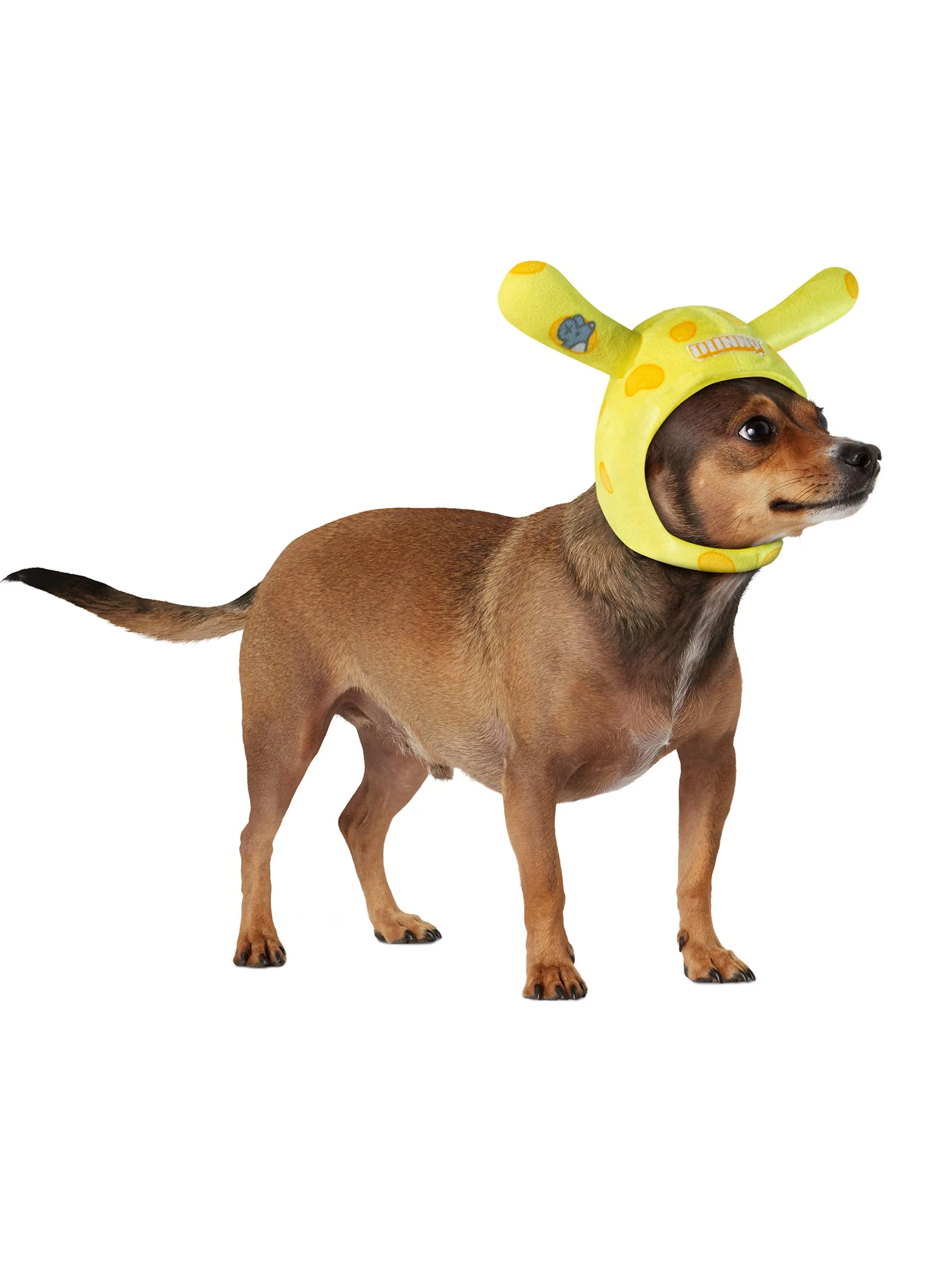 Dunny Cheese Head Pet Headpiece By Kidrobot 2 Dunny Cheese Head Pet Headpiece By Kidrobot - Image 2