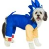 Sonic The Hedgehog Pet Costume
