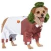 Willy Wonka Oompa Loompa Pet Costume