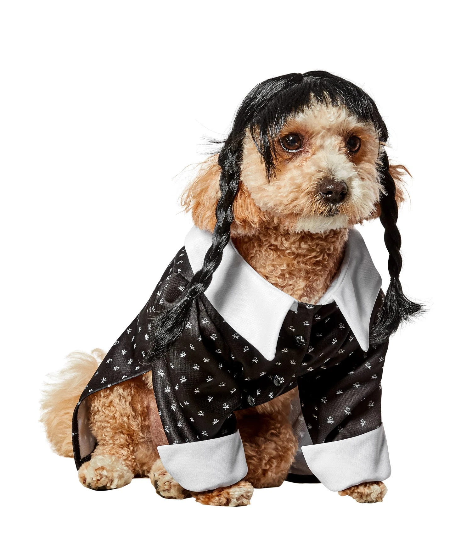 Wednesday Addams Pet Costume 2 Wednesday Addams Pet Costume - Image 2