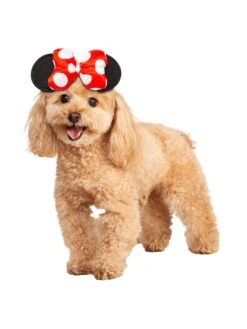 Minnie Mouse Pet Headpiece And Toy 5 Minnie Mouse Pet Headpiece And Toy -Costume Supercenter Store r3000159 v2 3