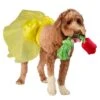 Beauty And The Beast Belle Pet Tutu And Rose Rope Toy